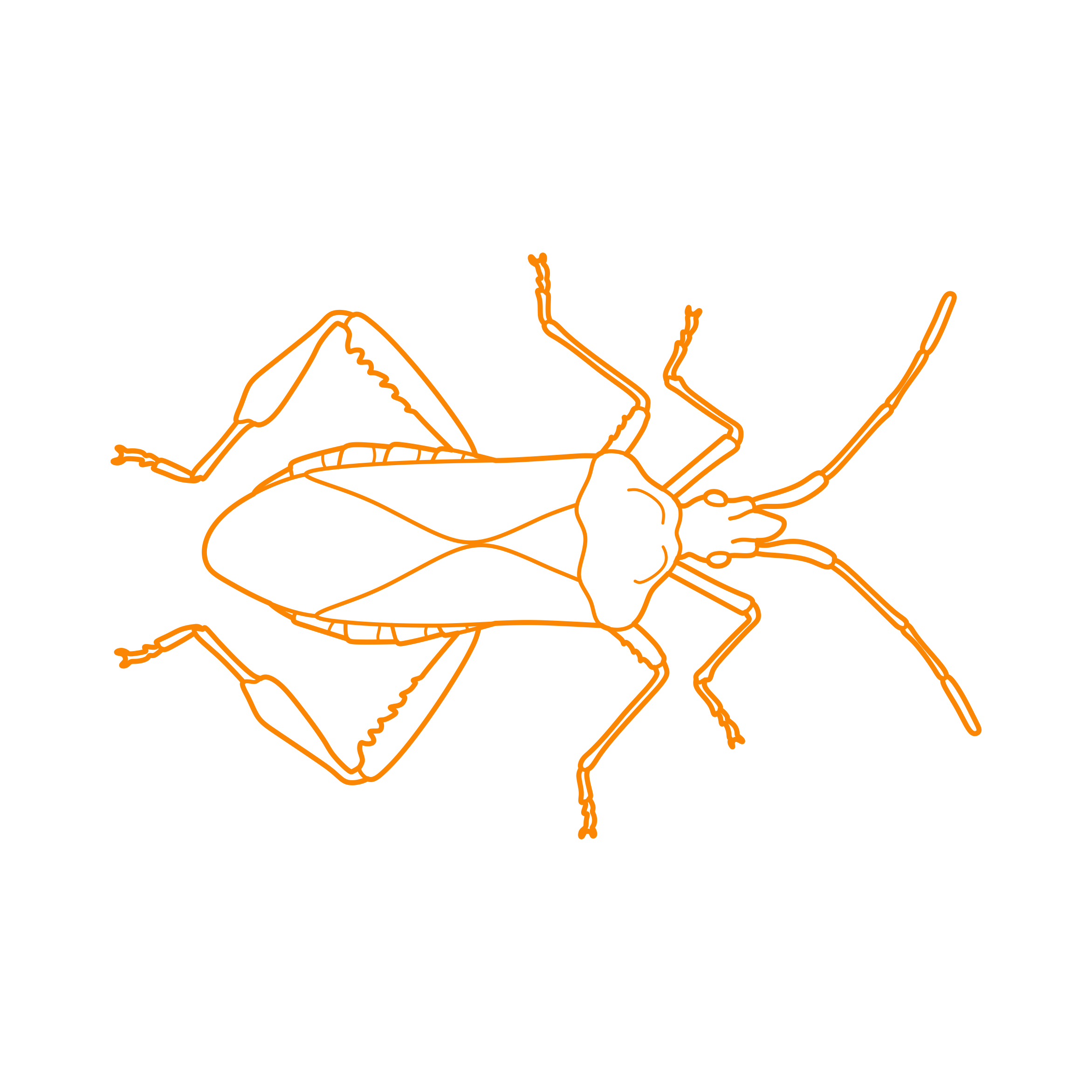 Animals Insects Western Conifer Seed Bug Sticker Svg Vector Free Vectors
